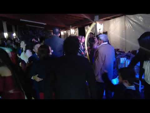 download lagu mp3 mp4 Terraza Los Amadeos, download lagu Terraza Los Amadeos gratis, unduh video klip Download Terraza Los Amadeos Mp3 dan Mp4 Youtube Gratis