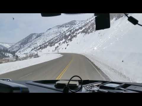 The Arctic Doppelganger...  Well Sort Of.. Nice and Cold!