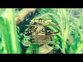 CHAN VERYAM ORIGINAL SOUNDTRACK VAY SONAY DEYA KANGNA 1981 MADAM NOOR JAHAN