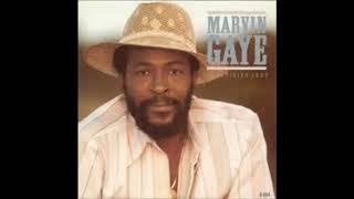 Marvin Gaye - Sanctified Lady (Instrumental)