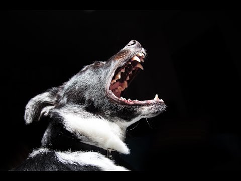 Different Heaven feat. ReesaLunn - Pentakill