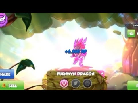 HATCHED PUENWYN  🐉 DML