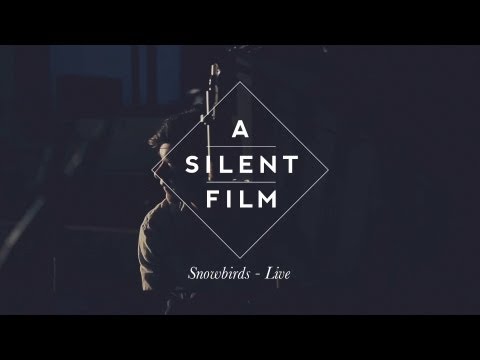 Where Snowbirds Have Flown // The Sycamore Tapes // A Silent Film