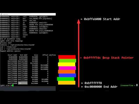 0x0C - First Stack Buffer Overflow to modify Variable