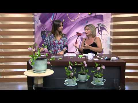 Mulher.com 25/02/2015 Flor de cera em biscuit por Alessandra Assi Parte 2