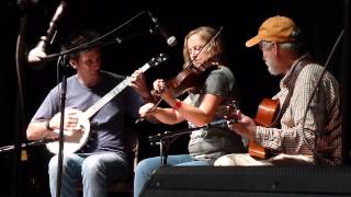 Clifftop 2015 Fiddle Finals: Erynn Marshall, tune 