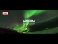 Northern Lights LIVE - Aurora Sky Station | Norrsken | Sweden