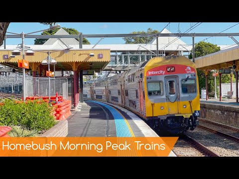 Sydney Trains Vlog 1978: Homebush Morning Peak Trains