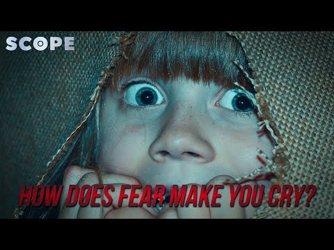 How Does Fear Make You Cry? | SCOPE TV