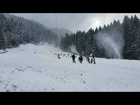 Poiana Brasov - Partia Bradul