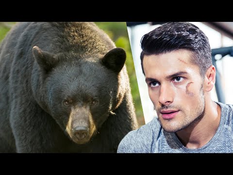 Black Bear Invades Cabin and Attacks a Man While He Is Sleeping | Haunting Tales