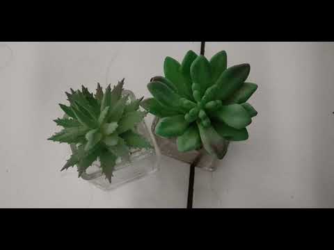 You’ve reached an important milestone