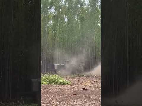 fazenda Curralinho Piaui