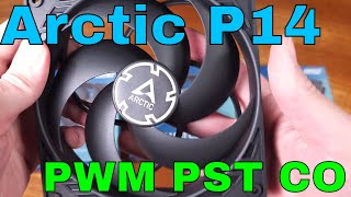 The Arctic P14 PWM PST CO Fans