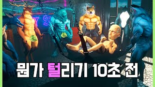 오늘부터 수컷 퍼리 달린다