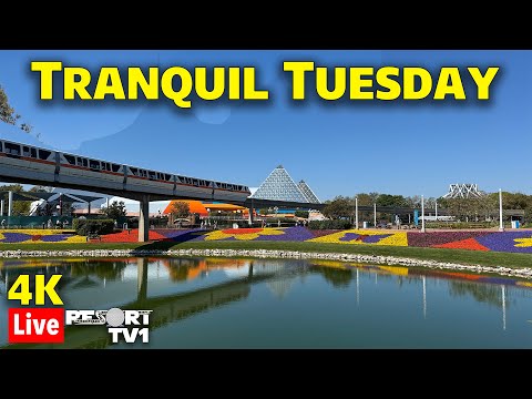 🔴4K Live: Tranquil Tuesday at Epcot - A Relaxing Evening - Walt Disney World Live Stream - 3-25-25
