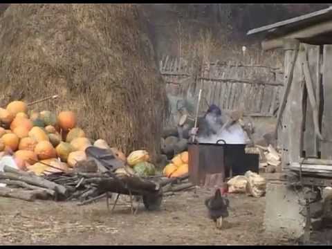 Drumetie, traseu Julita~Madrigesti, jud. Arad (1)