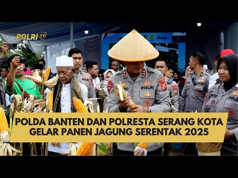 POLDA BANTEN DAN POLRESTA SERANG KOTA GELAR PANEN JAGUNG SERENTAK 2025