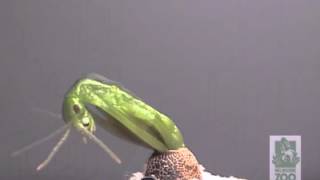 Oceanus Procellarum / BAYOHBAHB