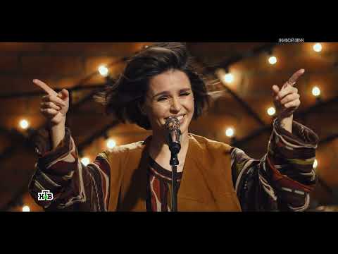 Зиверт Zivert   «Квартирник НТВ у Маргулиса»