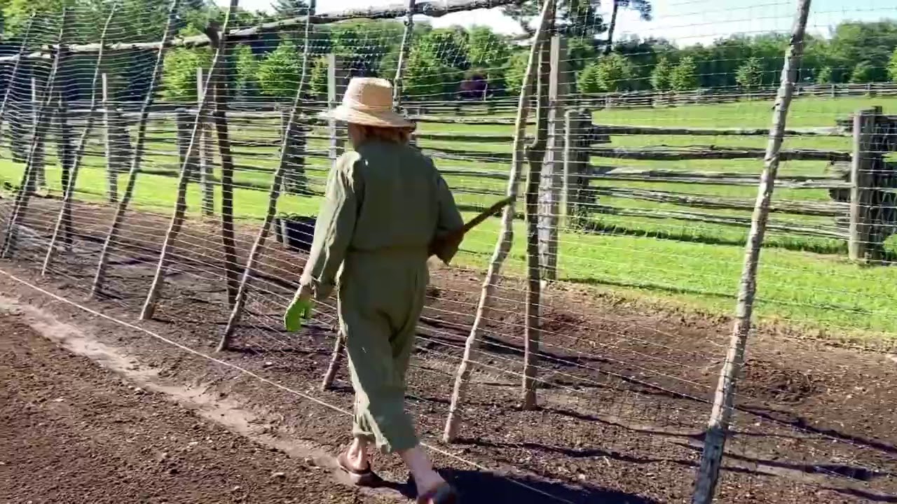 If anyone can put the 'G' back in HGTV, it's Martha Stewart.👩🏼‍🌾🌻