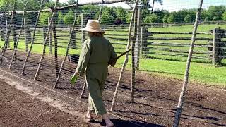 If anyone can put the 'G' back in HGTV, it's Martha Stewart.👩🏼‍🌾🌻