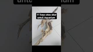 Download lagu 11 kayu atau akar untuk Aquarium #aquarium #aquascape #ikanhias mp3