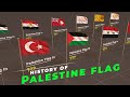 Evolution of Palestine Flag | History of Palestine Flag | Flags of the world |