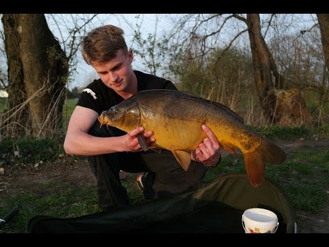 Angeln auf Karpfen [riesen erfolg]