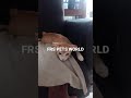 Sleeping Style 2