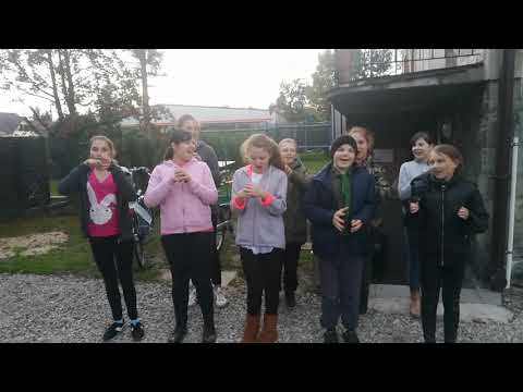 22 pdh Sokoły - okrzyk zastępu "Zielone Melony"