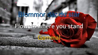 Blommor där du står | Gammal | ENG + SWE