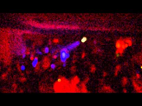 dj murat hekim club redroom uludağ