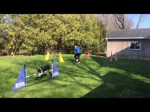 Online Training with Professional Agility Coach, Kayl McCann