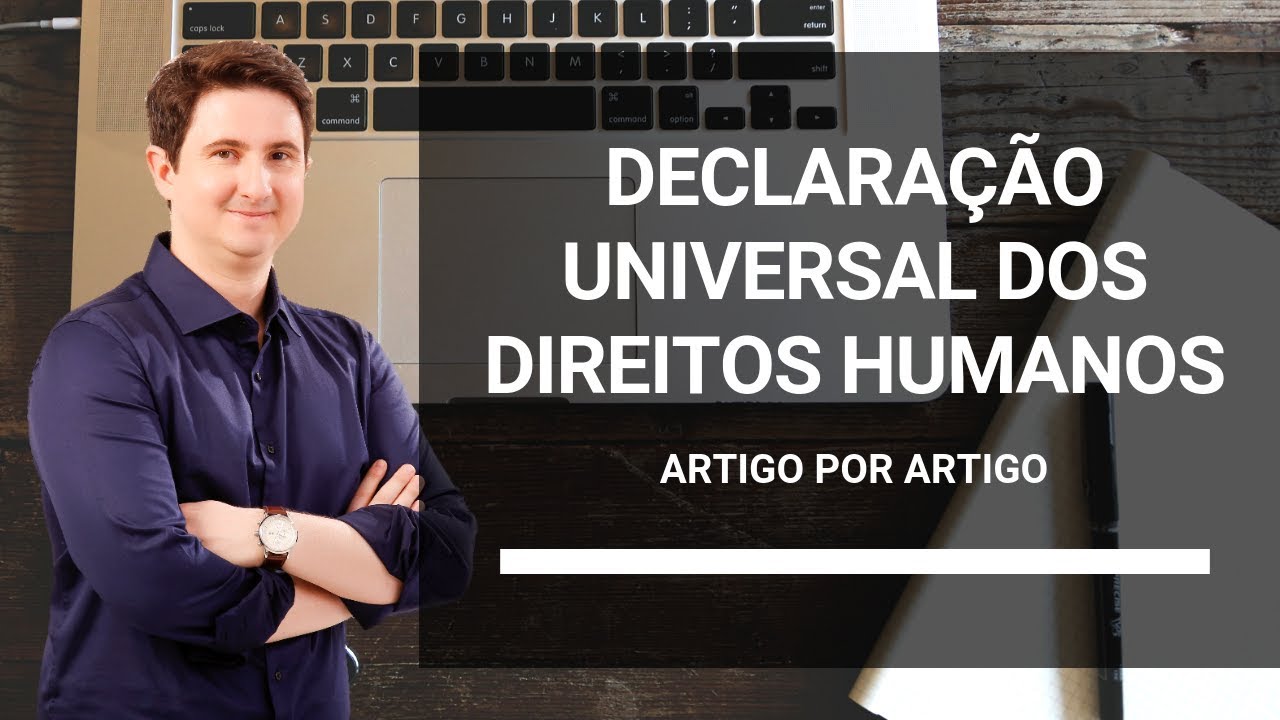 Declaração Universal dos Direitos Humanos - artigo por artigo