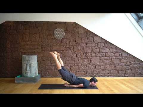 94 Heuschrecke Der Yoga Coach by Stephan Suh