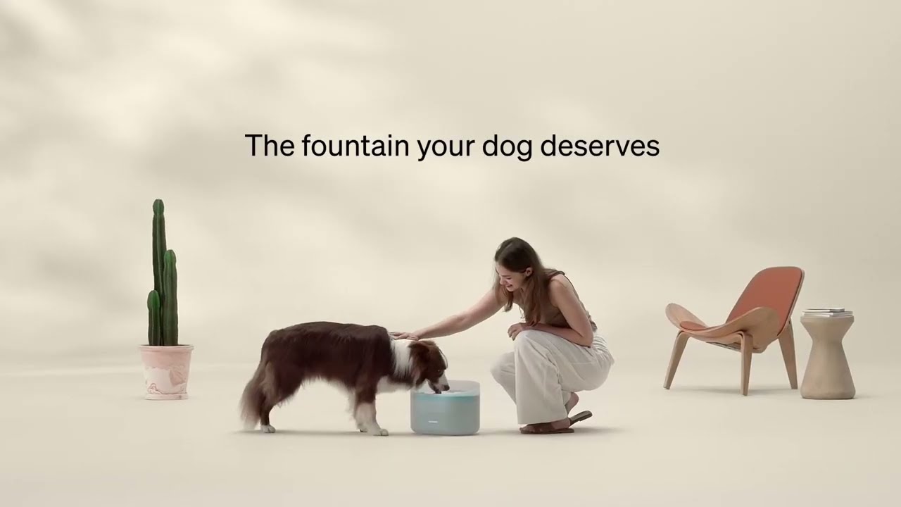 Petlibro Wasserautomat Capsule Dog Fountain 8 l, Türkis