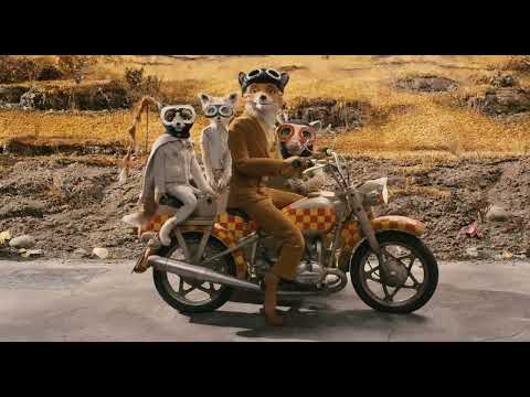 Canis lupus vulpes vulpes( pensez vous que l'hiver sera rude) Fantastic Mr. Fox scene