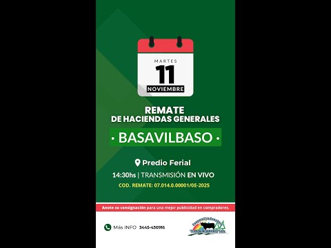 Remate de hacienda Basavilbaso 11-11-2025 | Coop. Ganadera El Pronunciamiento