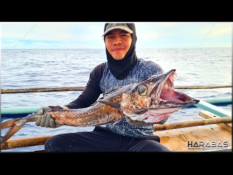 EP356-Part1 - Jackpot!!! Nakahuli ng Malalaking Isda sa Buya-Buya | Occ. Mindoro