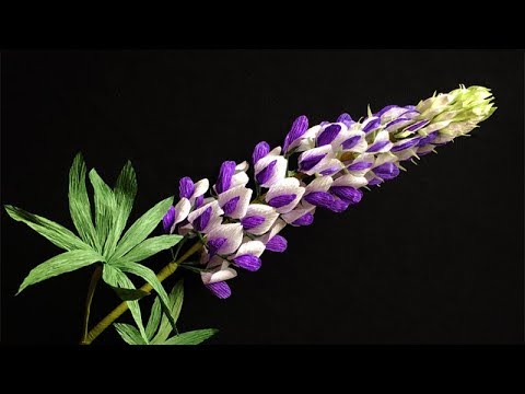 ABC TV | How To Make Lupinus Paper Flower From Crepe Paper - Craft Tutorial