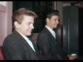 The Everly Brothers - Pretty Flamingo
