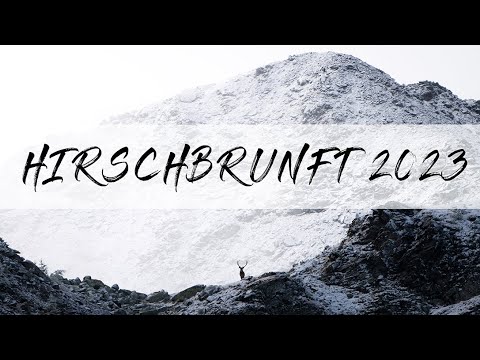 Hirschbrunft 2023, Kapitale Rothirsche