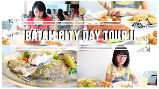 Sights & Sounds: Flying Fox Helihike, Fox Glacier