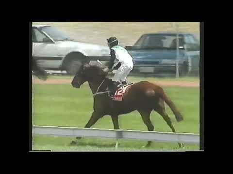 Planet Ruler - Honda Stakes 1992