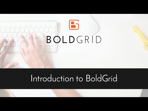 BoldGrid