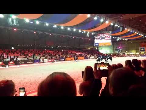 Totilas 2019 Black Magic