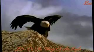 John Denver - On The Wings Of An Eagle - Baz