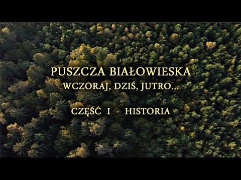 Puszcza Białowieska. Wczoraj, dziś i jutro. Część 1 - HISTORIA