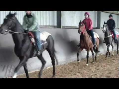 Nice Danon and Kasuga Danon....Trotting. 05.06.2012